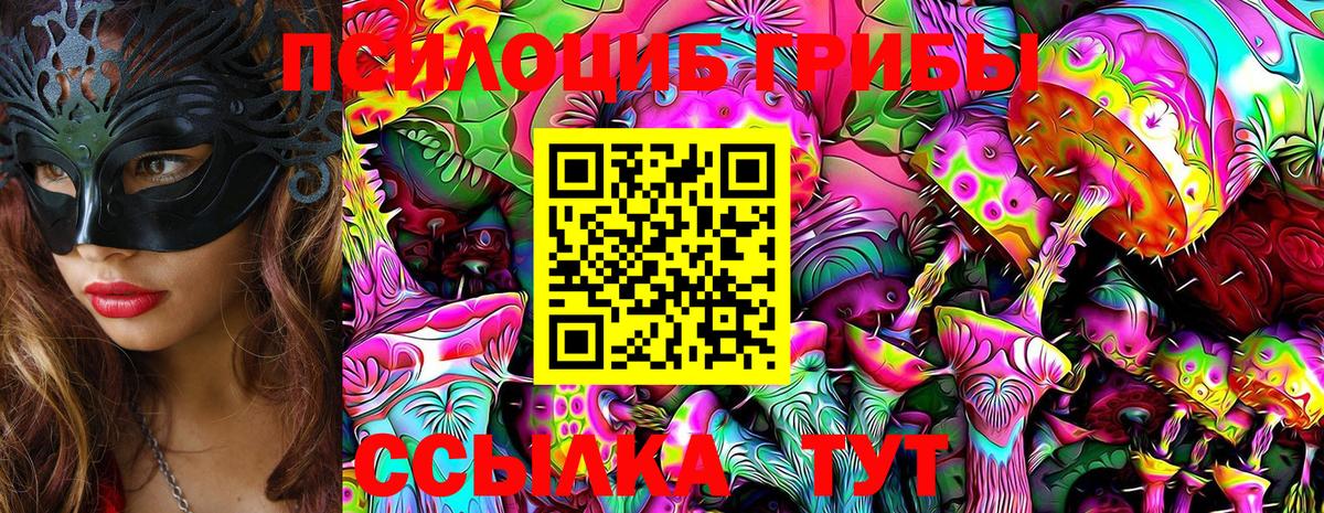 Ухта  Псилоцибиновые грибы Psilocybe  Вход с VPN 